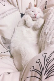 家族を紹介します。
